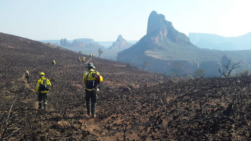 El Terrible Incendio Que Está Arrasando Bolivia Del Que Nadie Habla Cultura Colectiva 0806